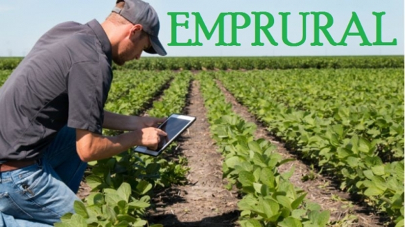 Proxecto “EMPRURAL: emprendemento xuvenil no rural”, edición 2019