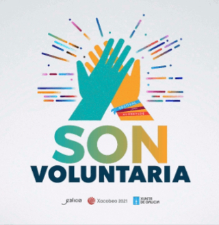 SON Voluntario/a, en festivais de música de Galicia